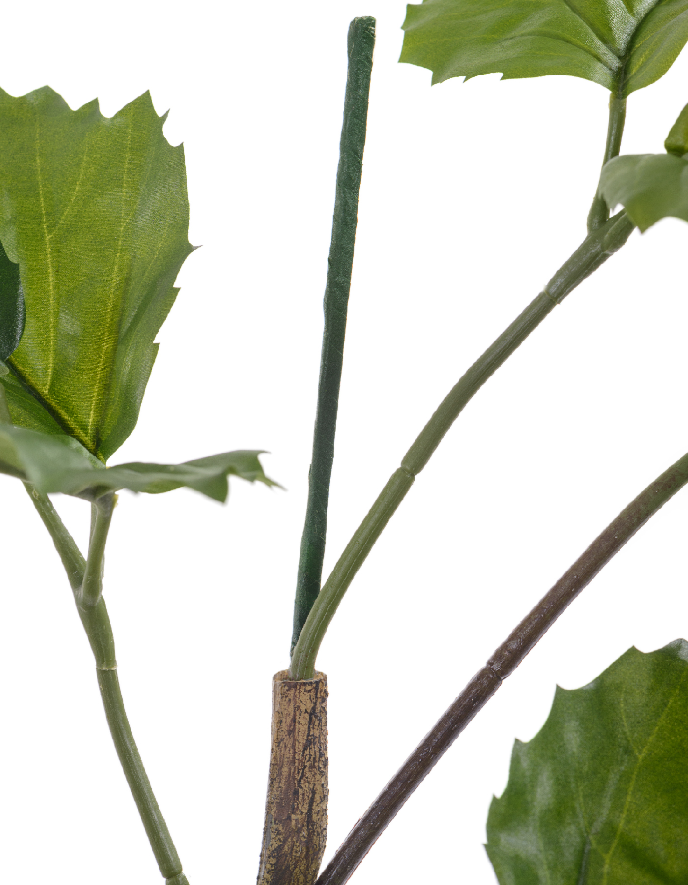 Дополнительные фото 5