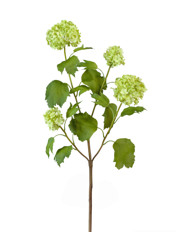 Калина бульдонеж (Вибурнум) (4 соцветия) св.зелёная 67 см 12/72