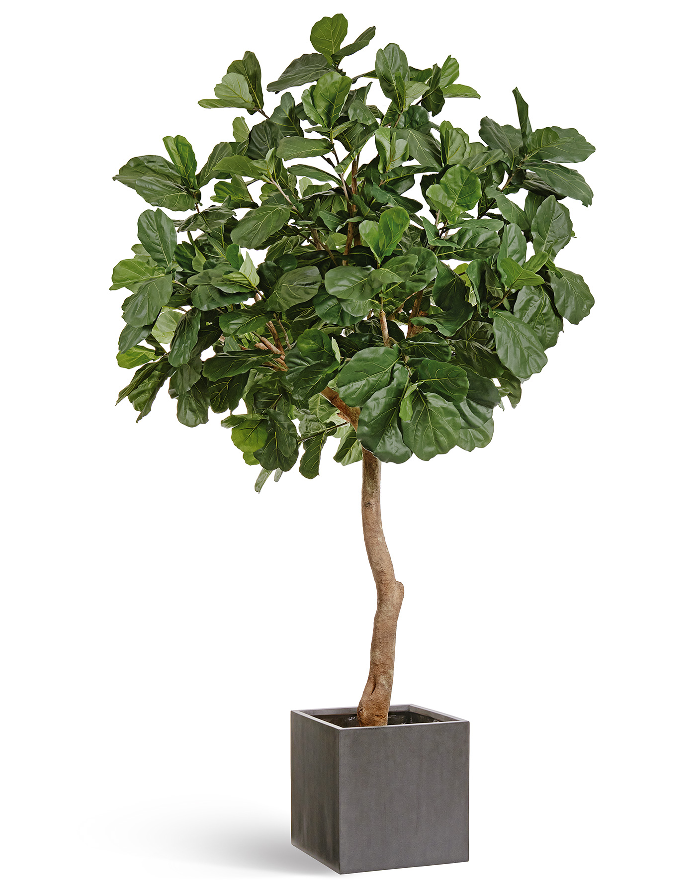 Дополнительные фото 1