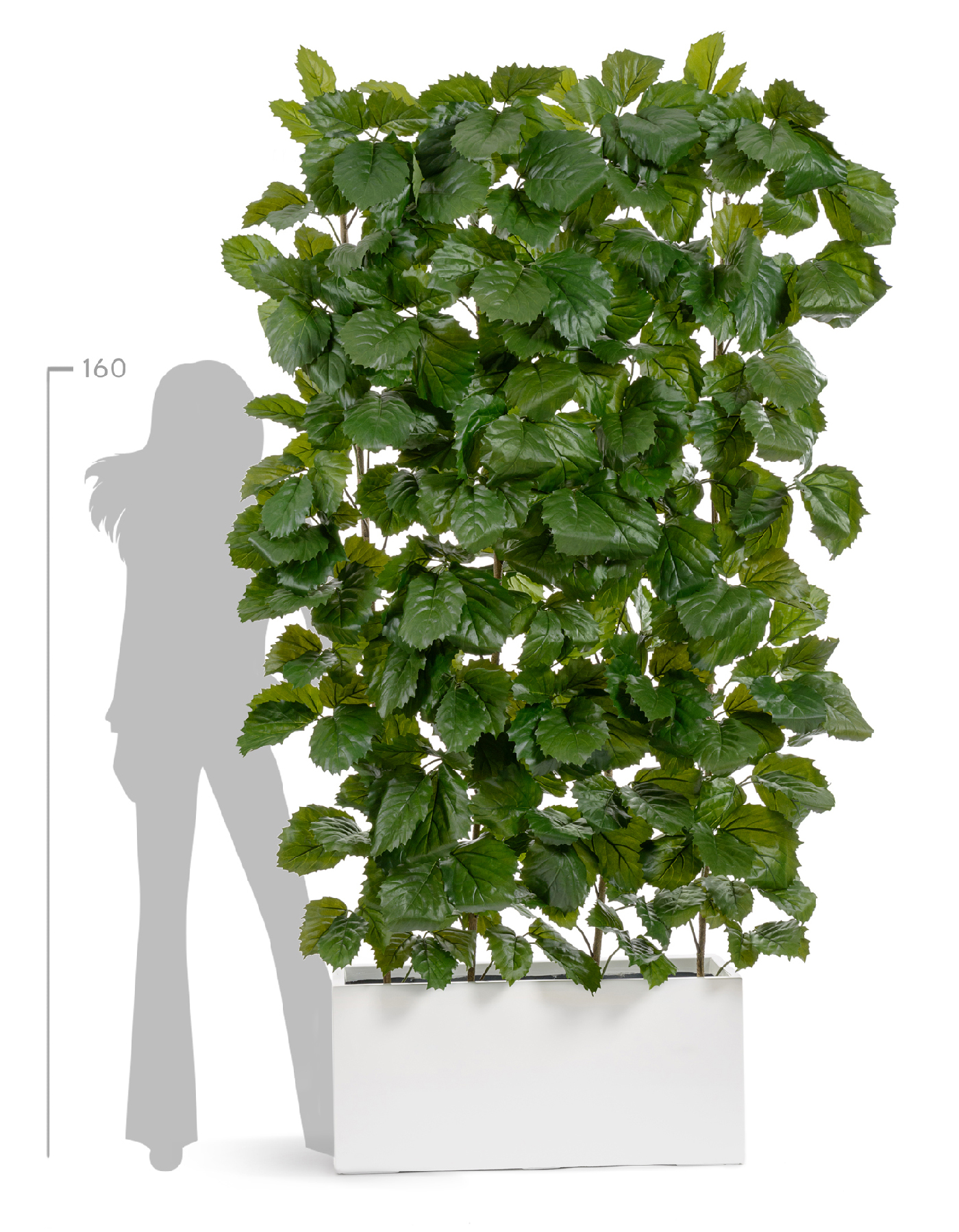 Дополнительные фото 3