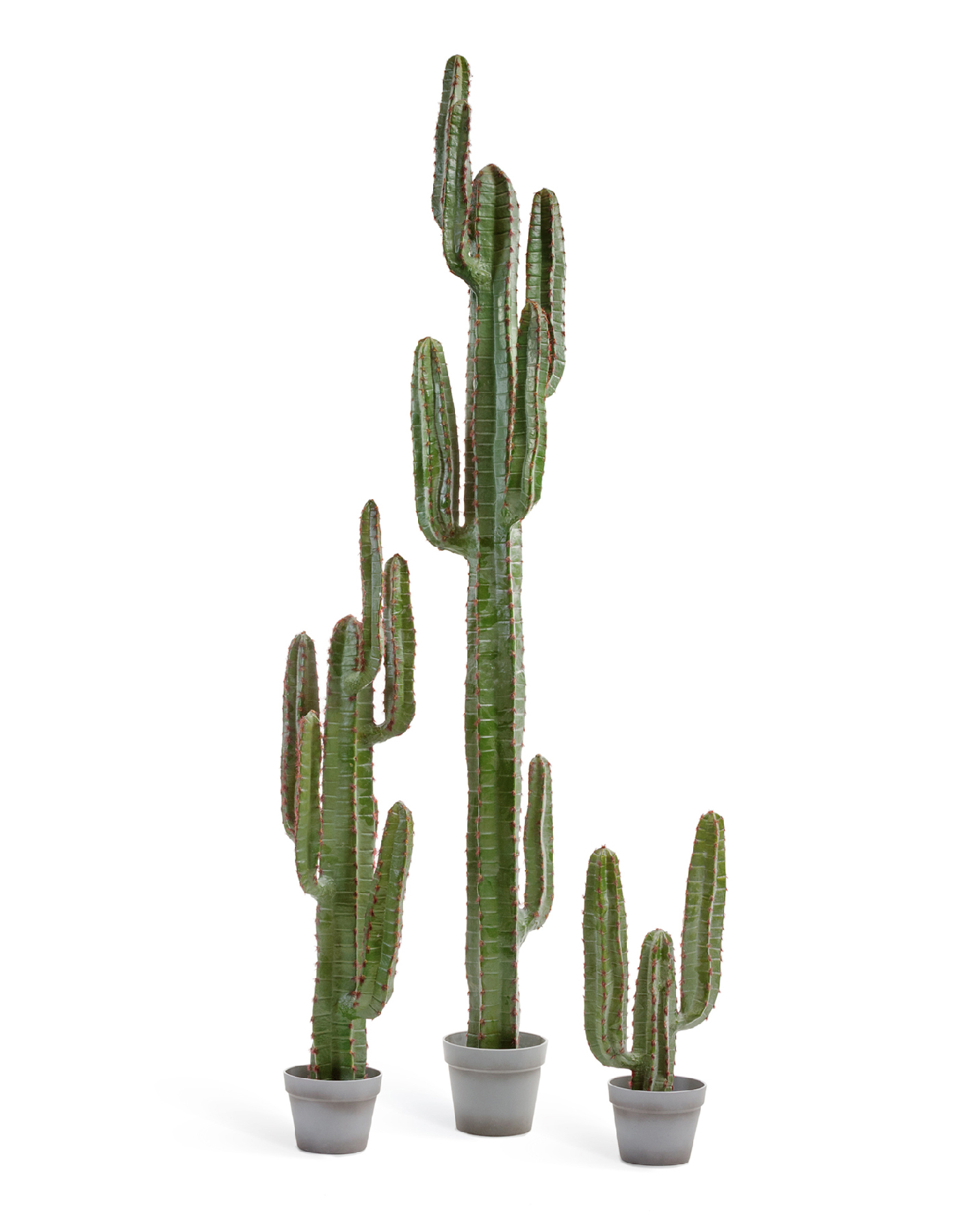 Дополнительные фото 3