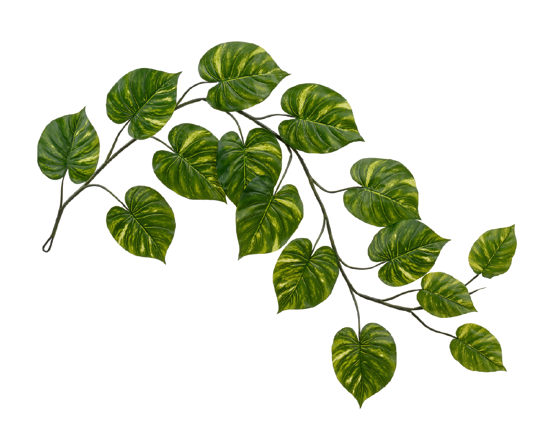 Дополнительные фото 2