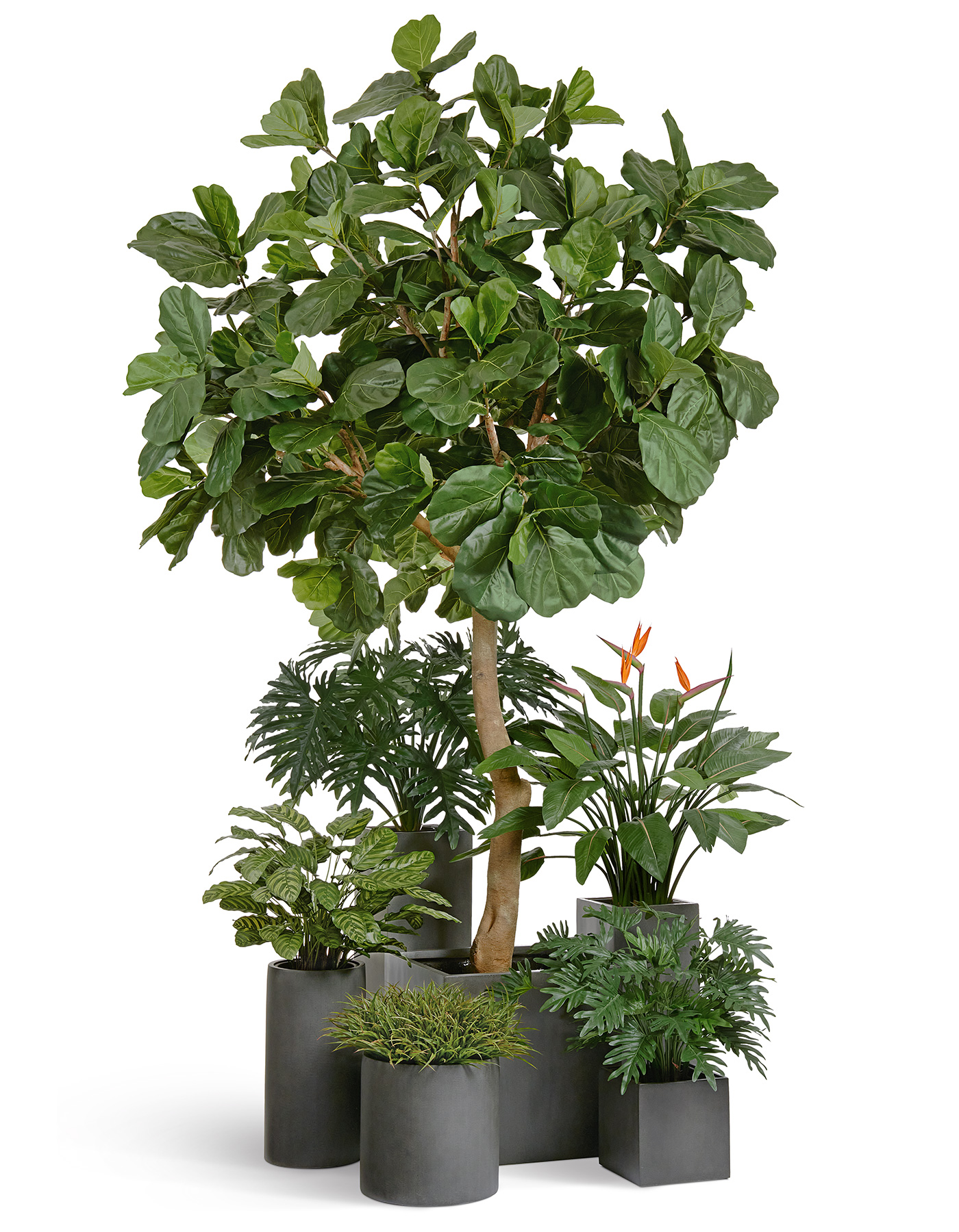 Дополнительные фото 3