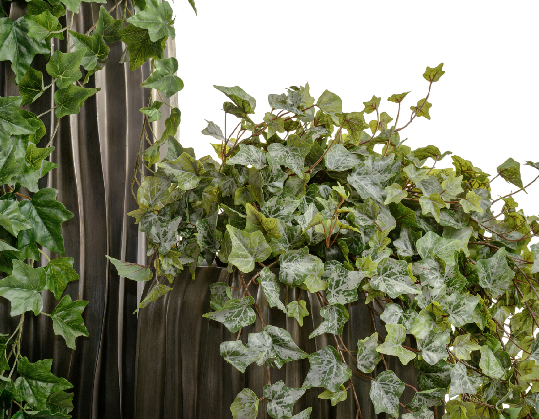 Дополнительные фото 2