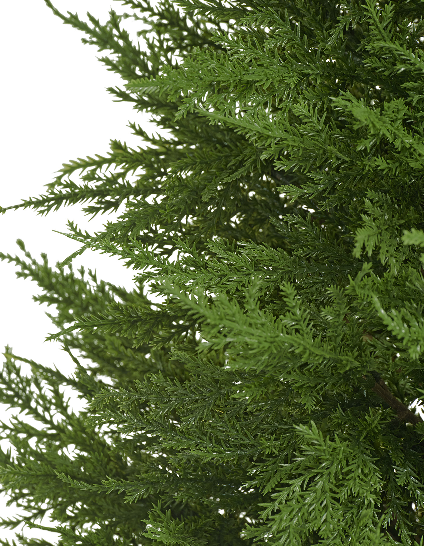 Дополнительные фото 4