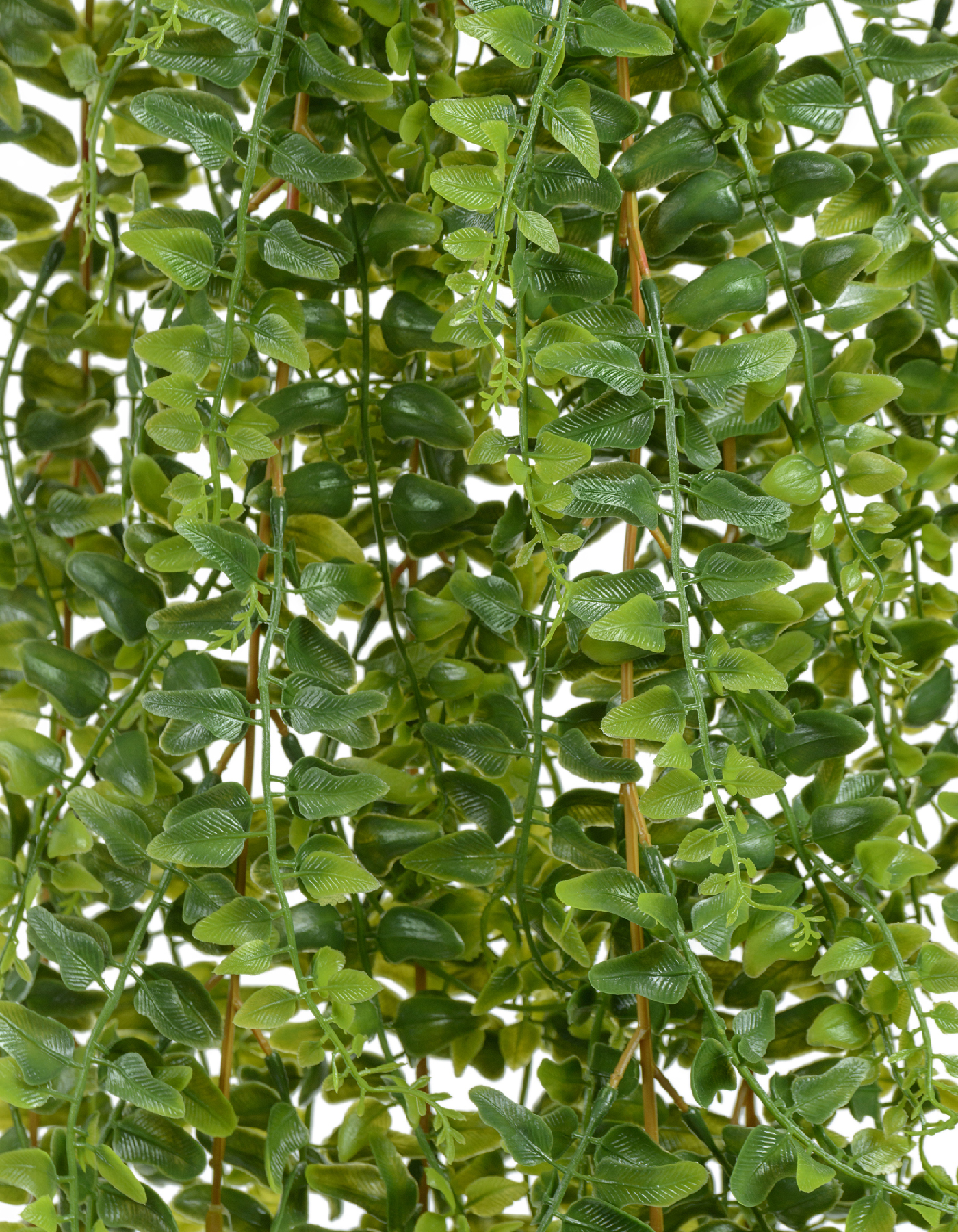 Дополнительные фото 1