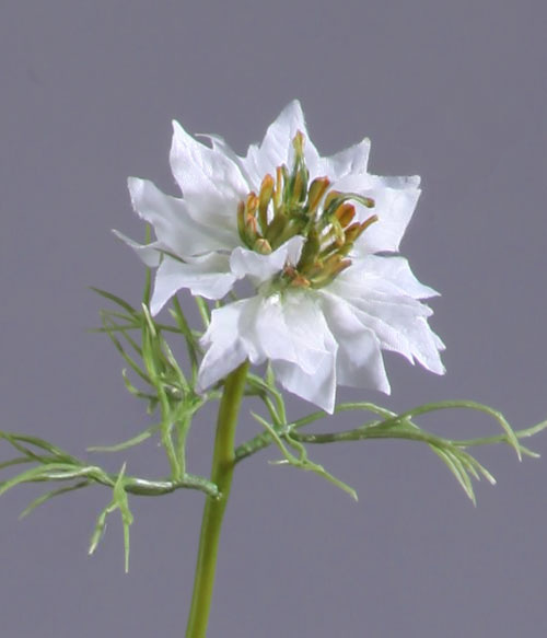 Дополнительные фото 1