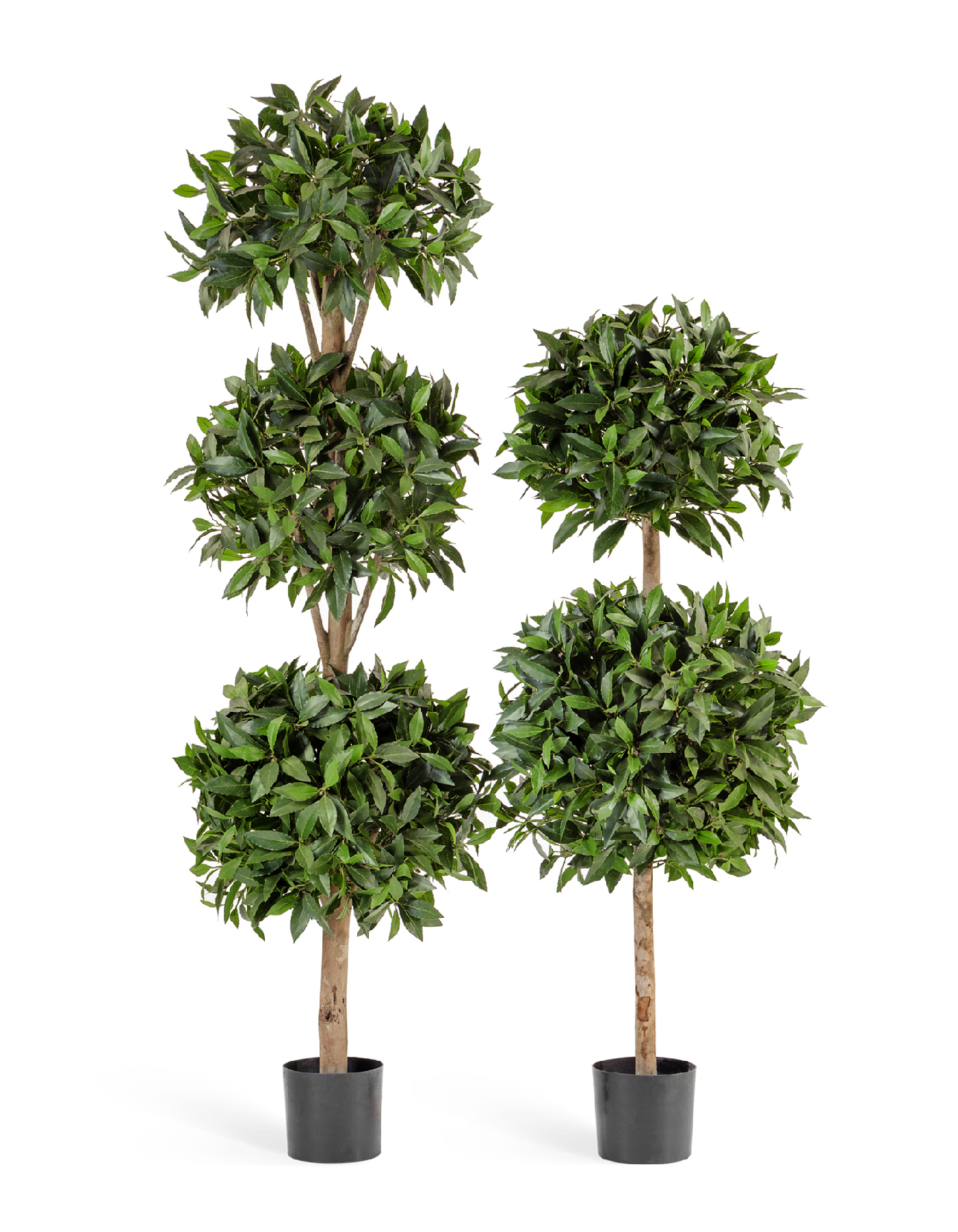 Дополнительные фото 1