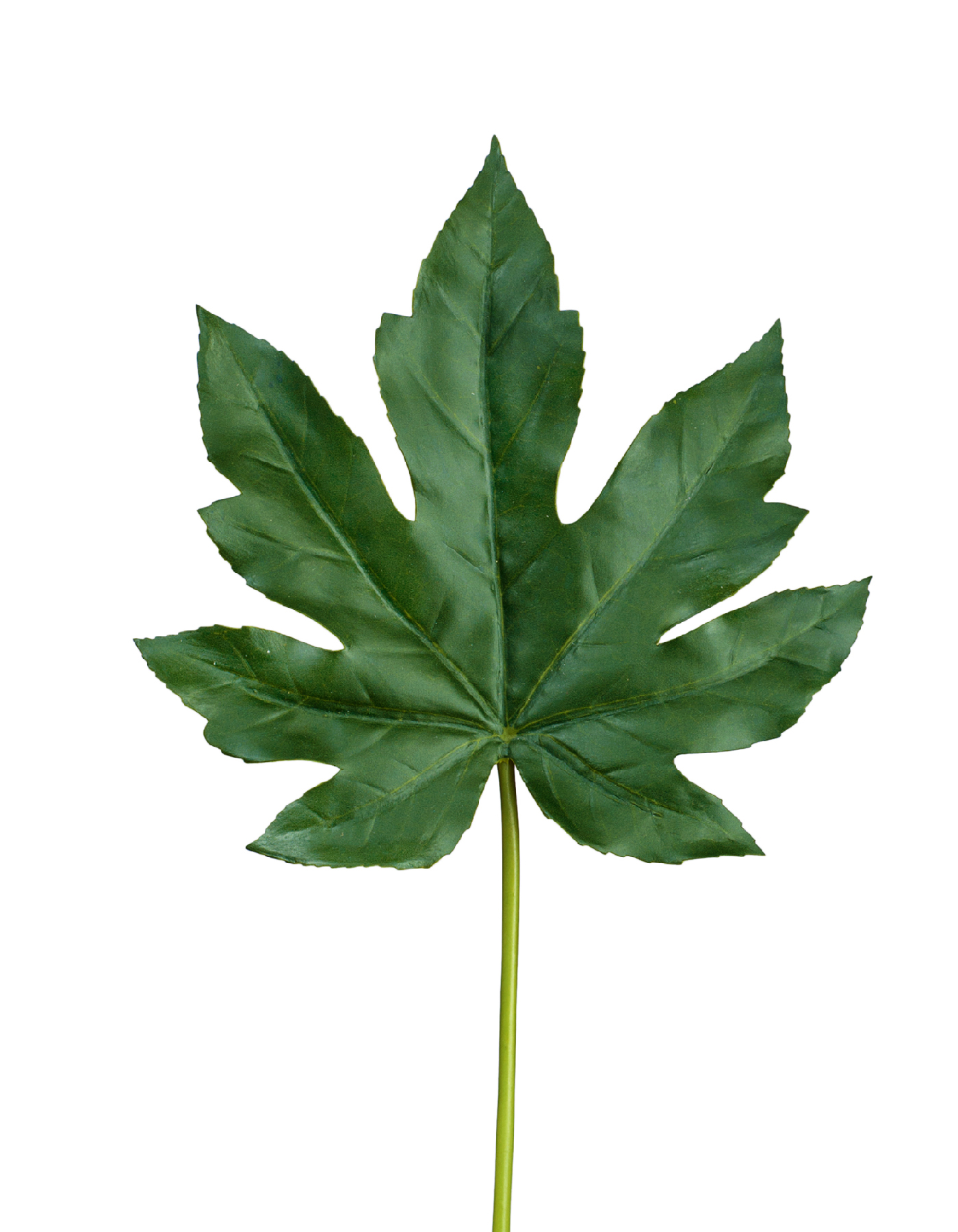 Лист Аралии тёмно-зелёный в-42 см (лист 16х17 см) 24/288