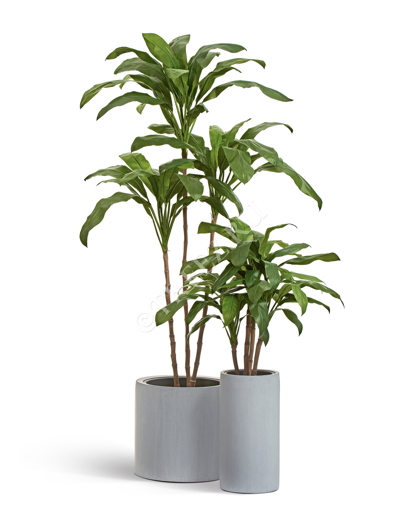 Дополнительные фото 4