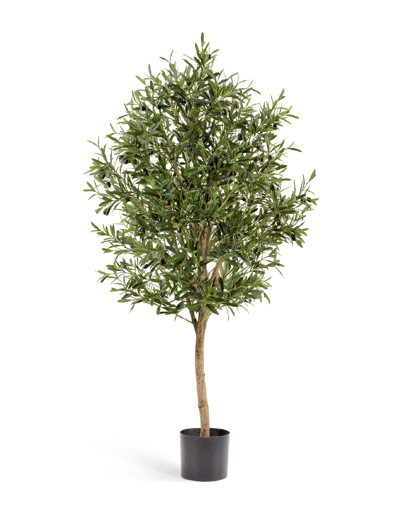 Олива Вайн с плодами в-140 см 2/2