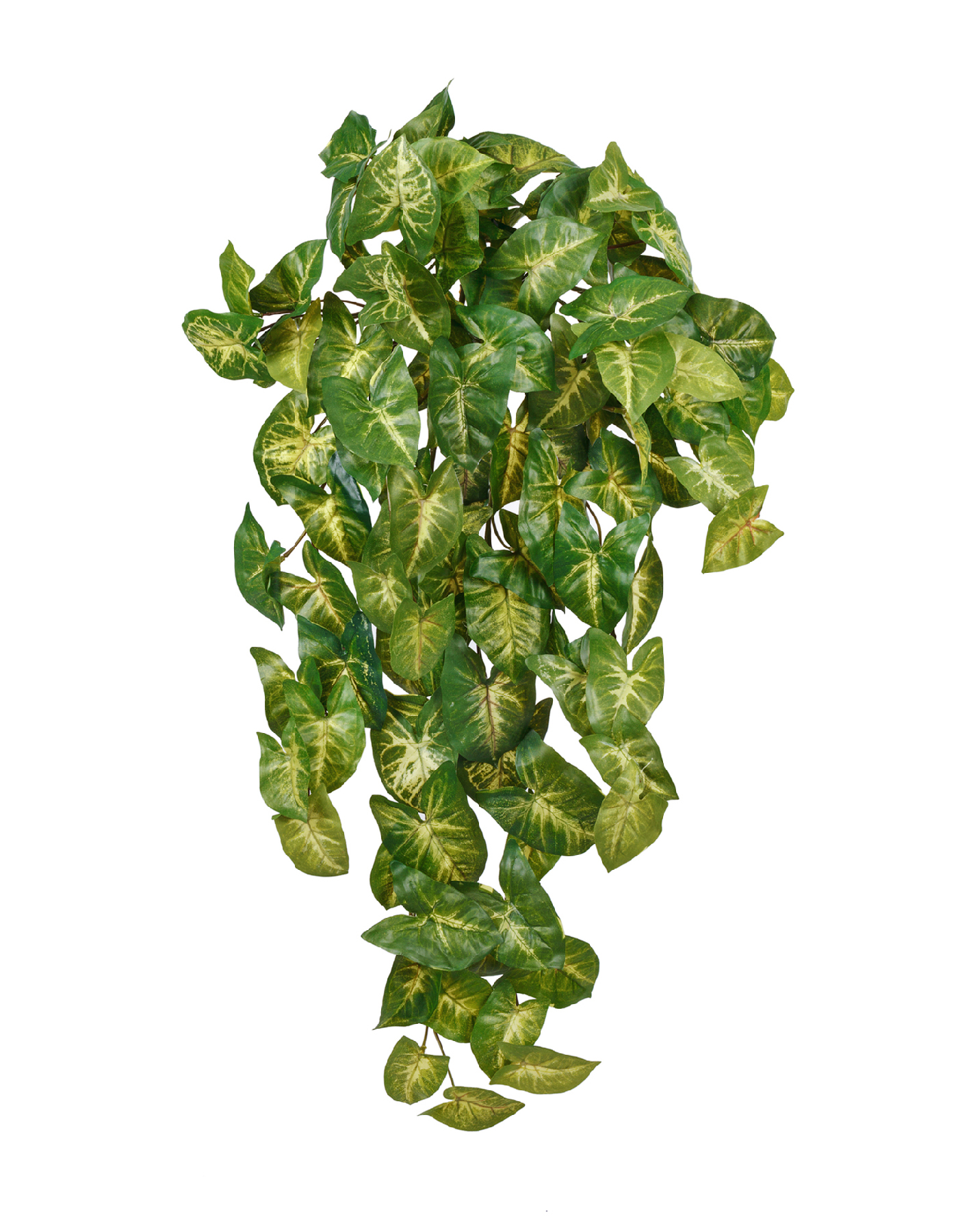 Дополнительные фото 1