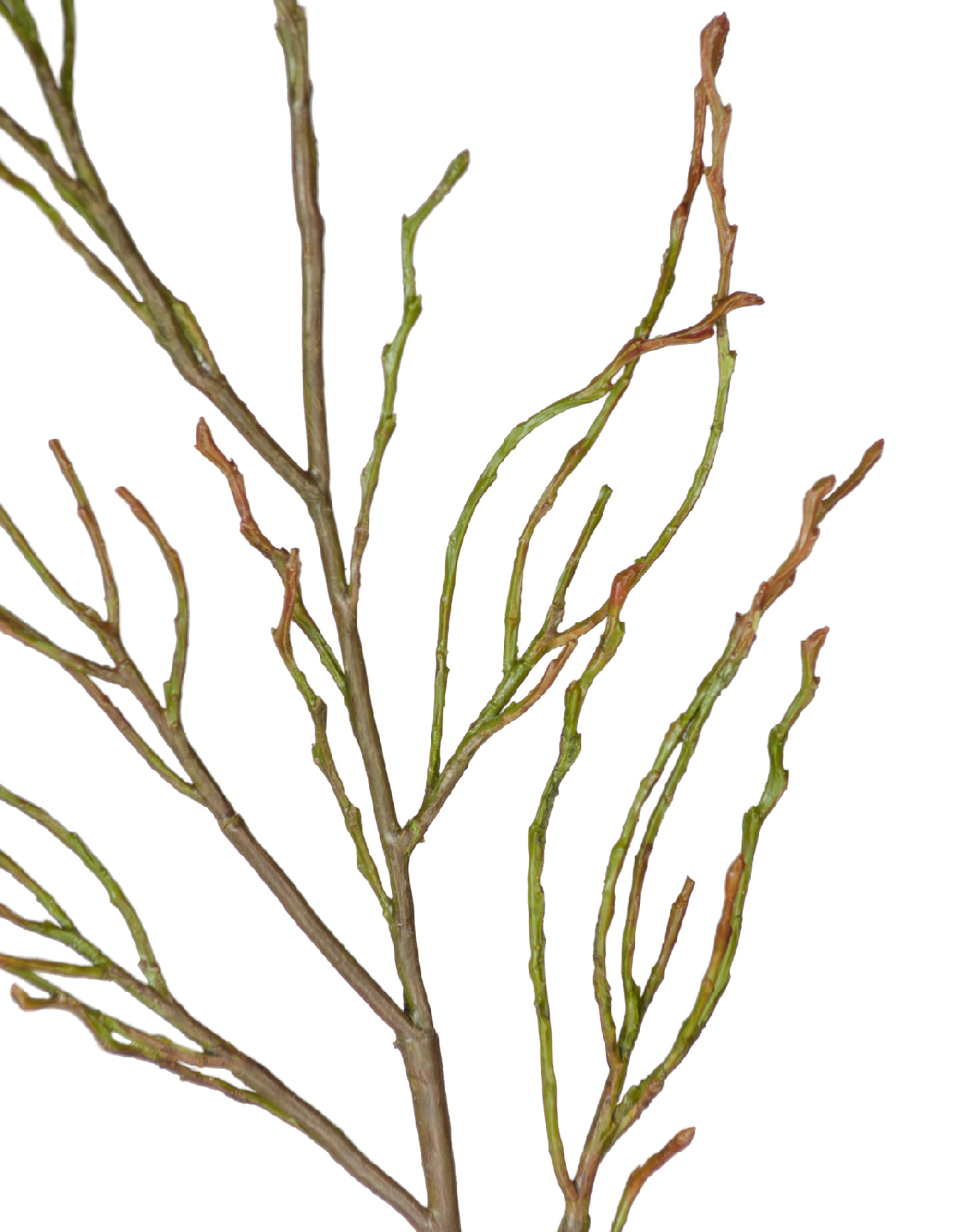 Ветвь зелёно-коричневая в-70 см 12/144