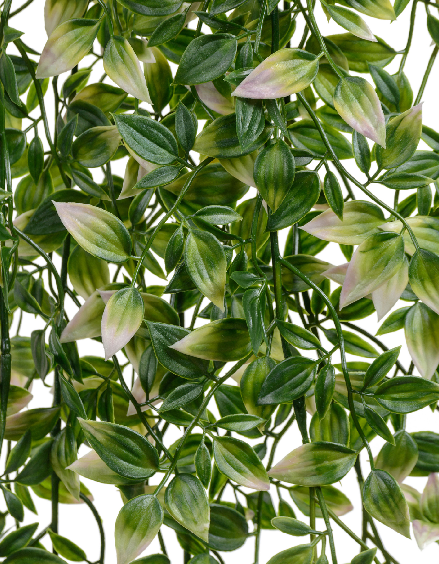 Дополнительные фото 1