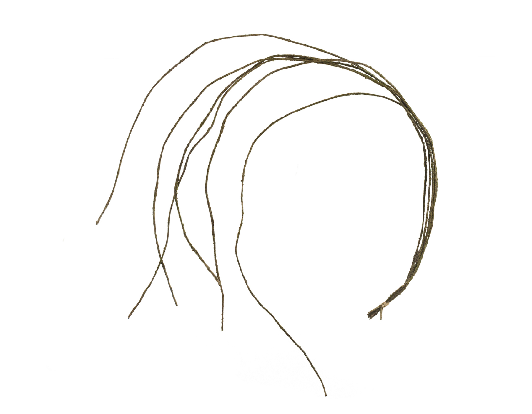 Дополнительные фото 1