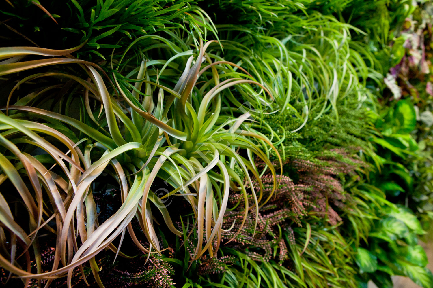 Дополнительные фото 2