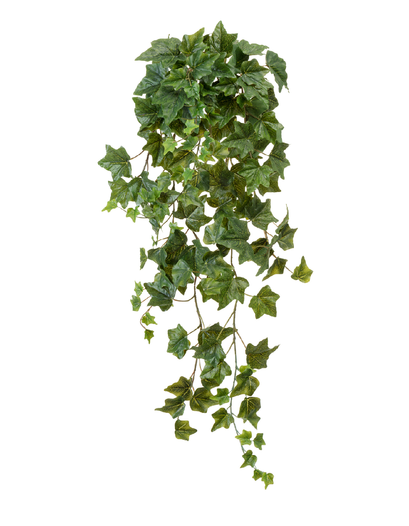 Дополнительные фото 3