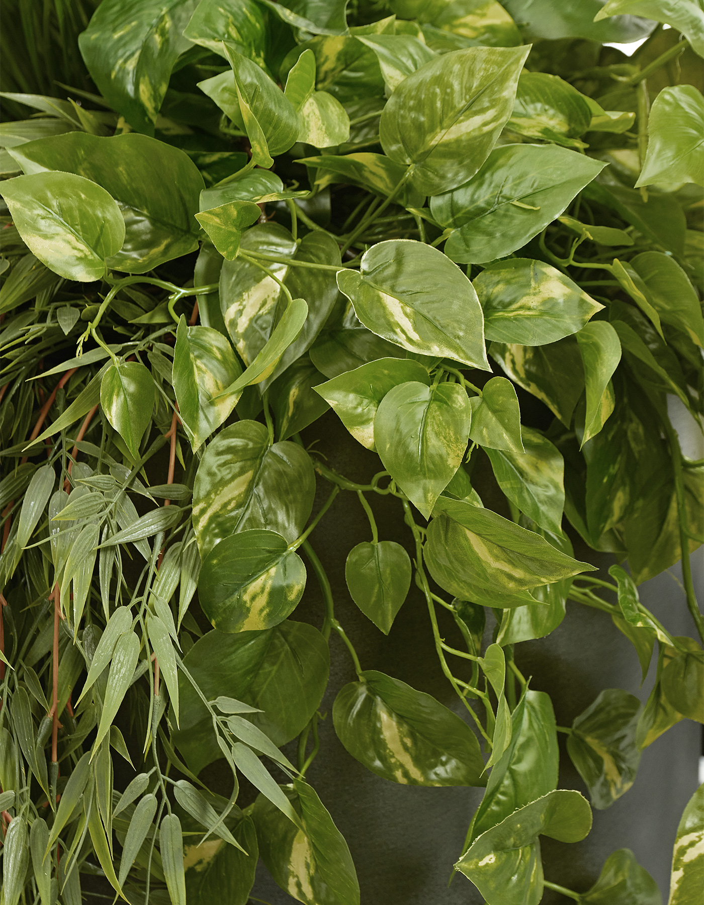 Дополнительные фото 2