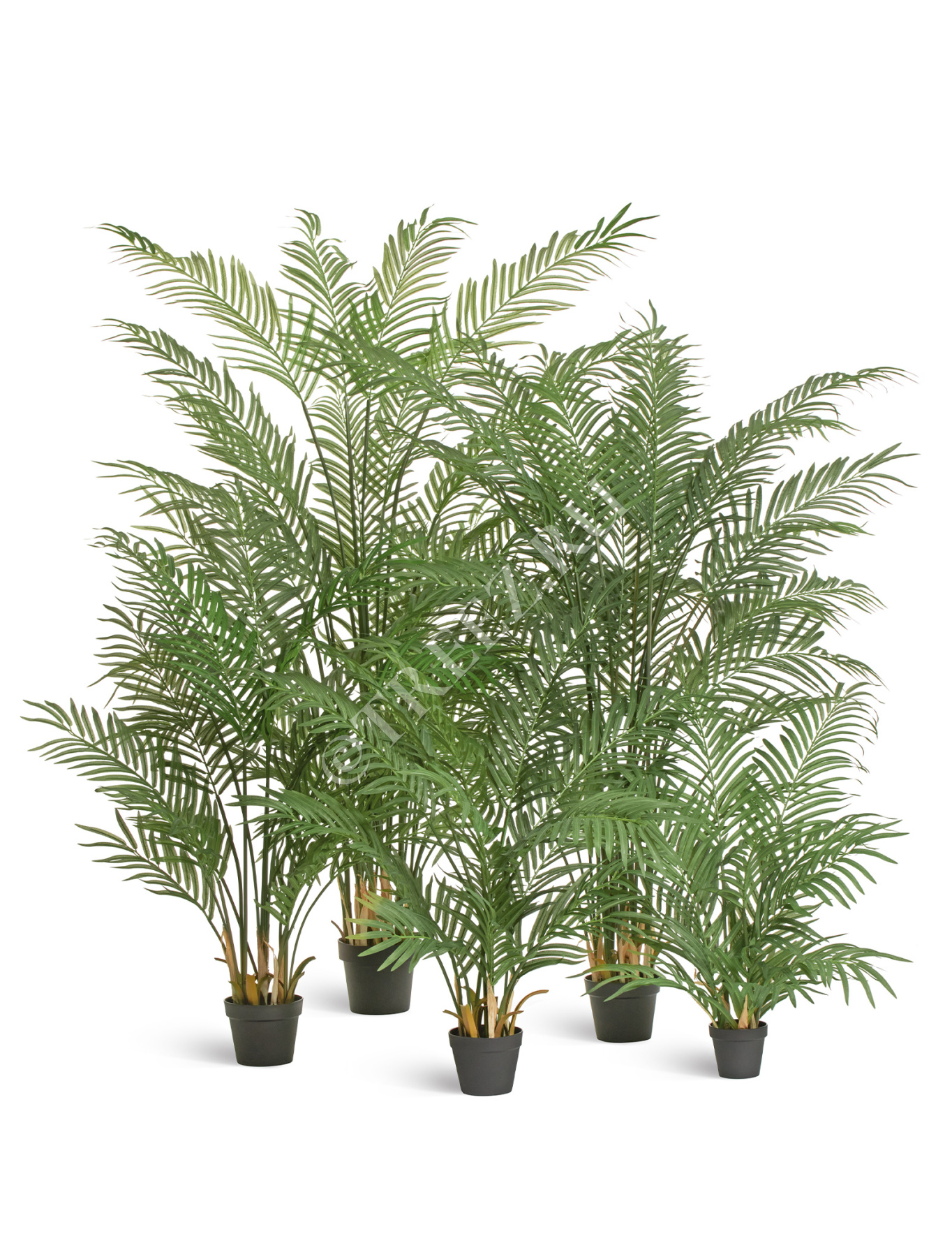 Дополнительные фото 2