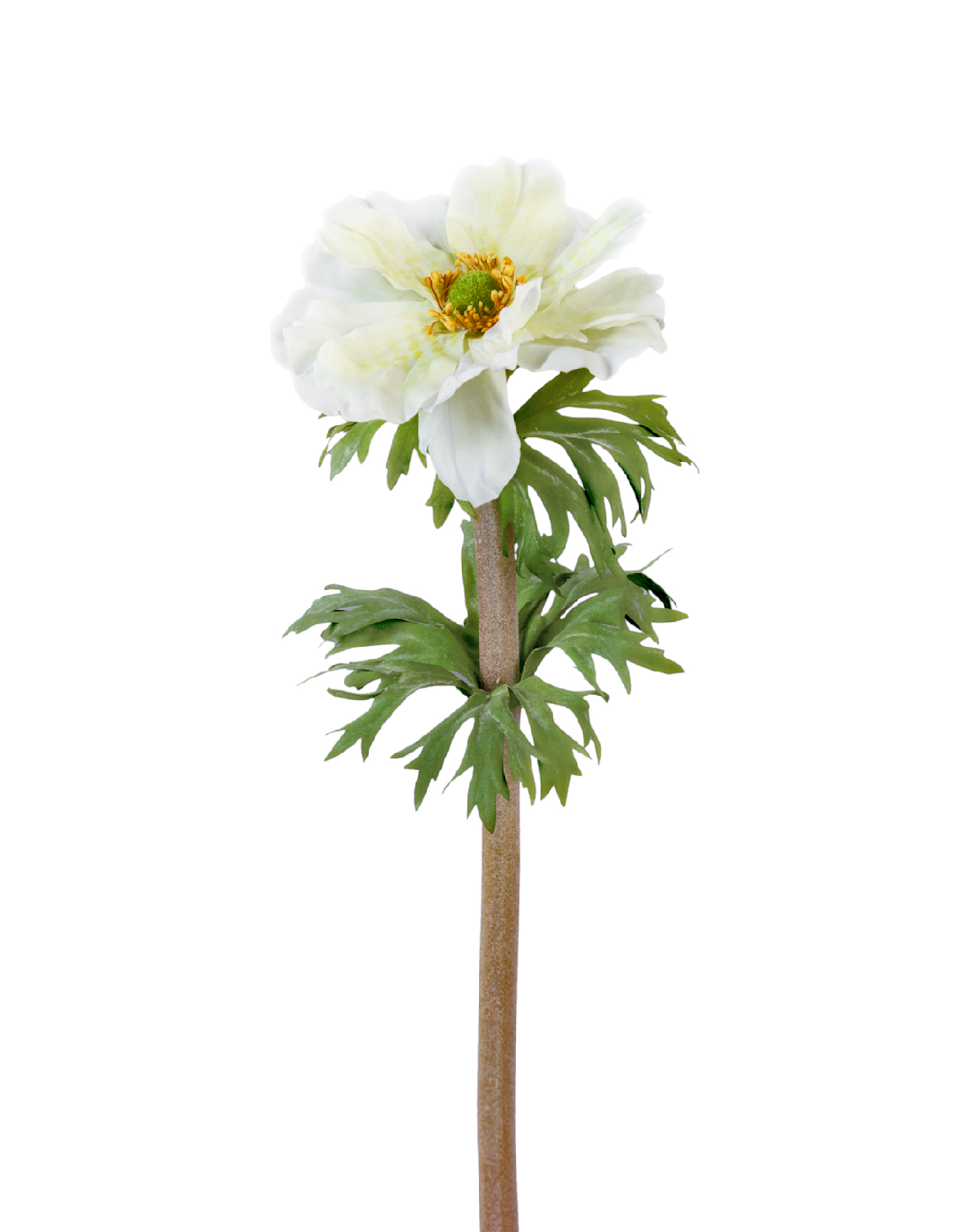 Анемон белый д-10, в-42 см 24/120