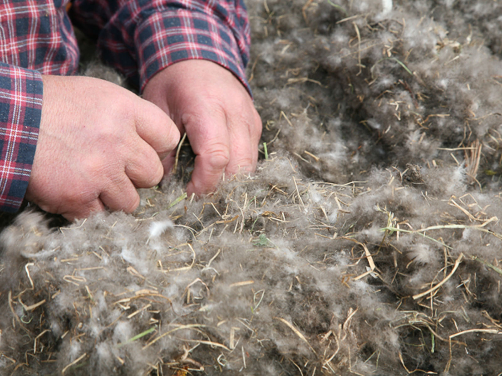 Дополнительные фото 19