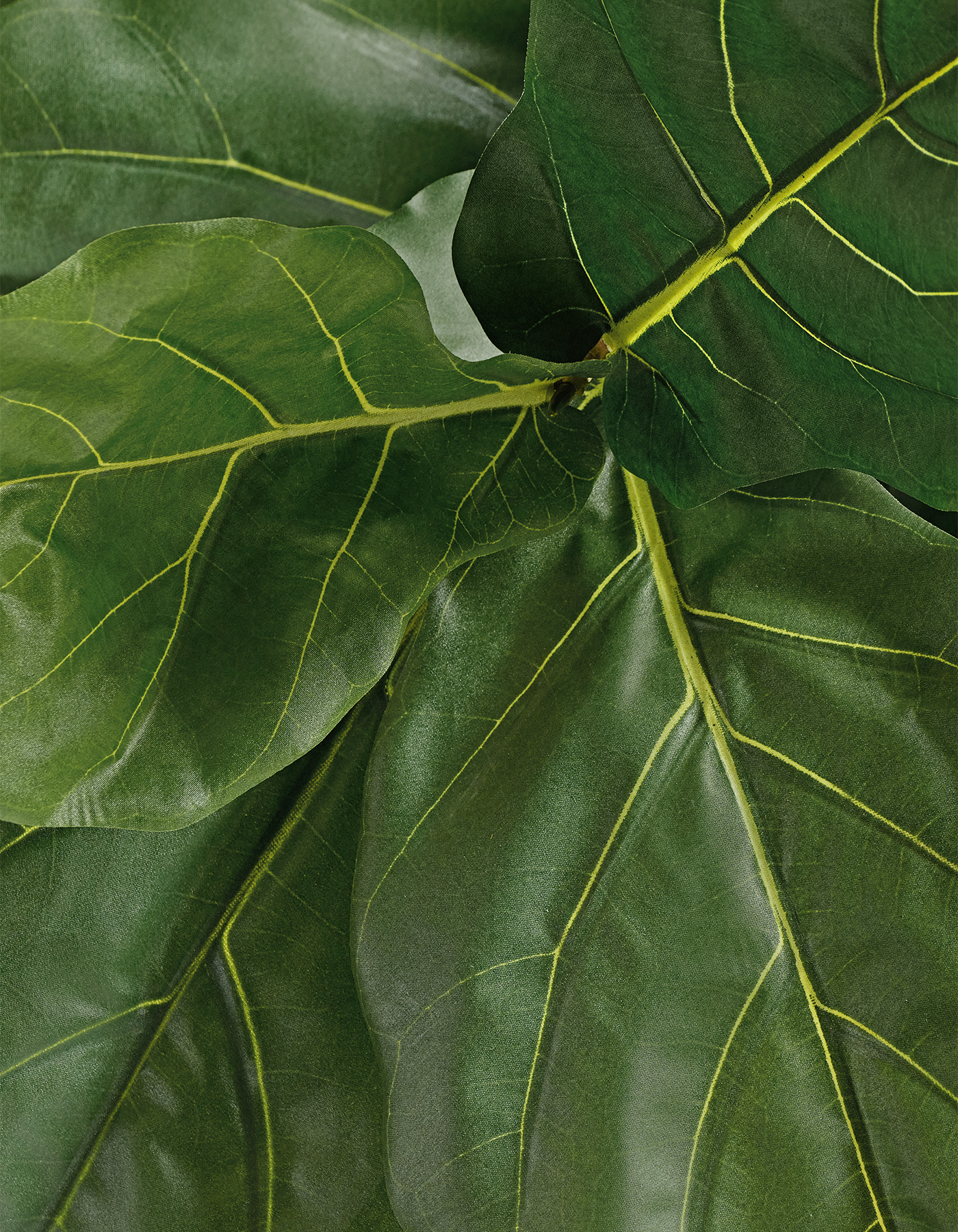 Дополнительные фото 6