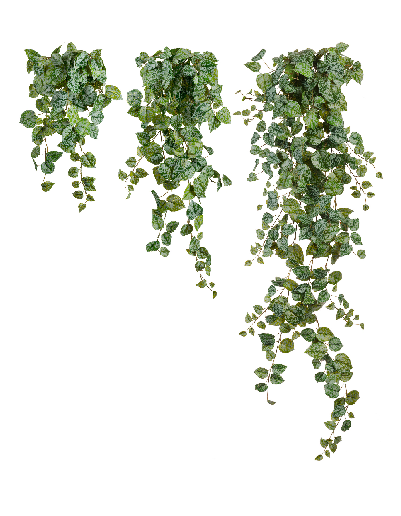 Дополнительные фото 4