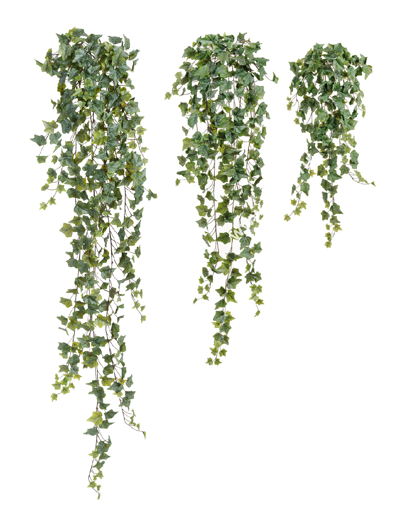 Дополнительные фото 6