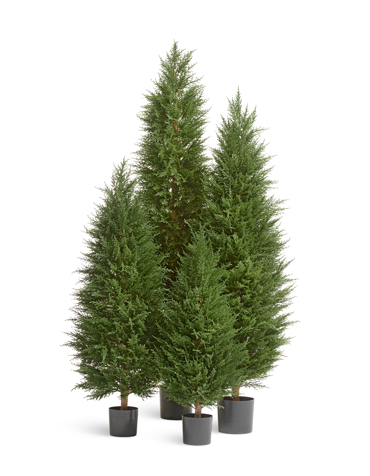 Дополнительные фото 5