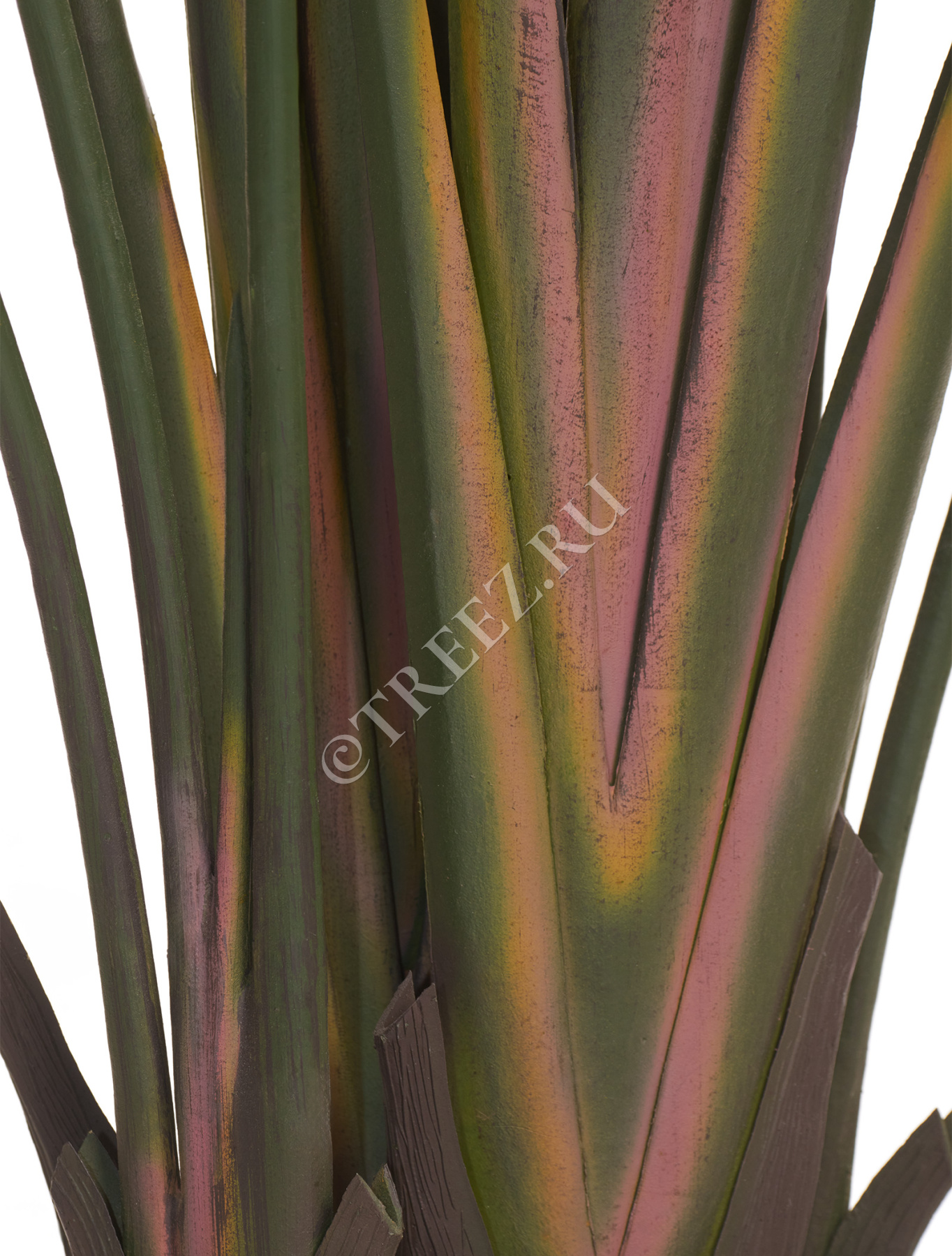 Дополнительные фото 3