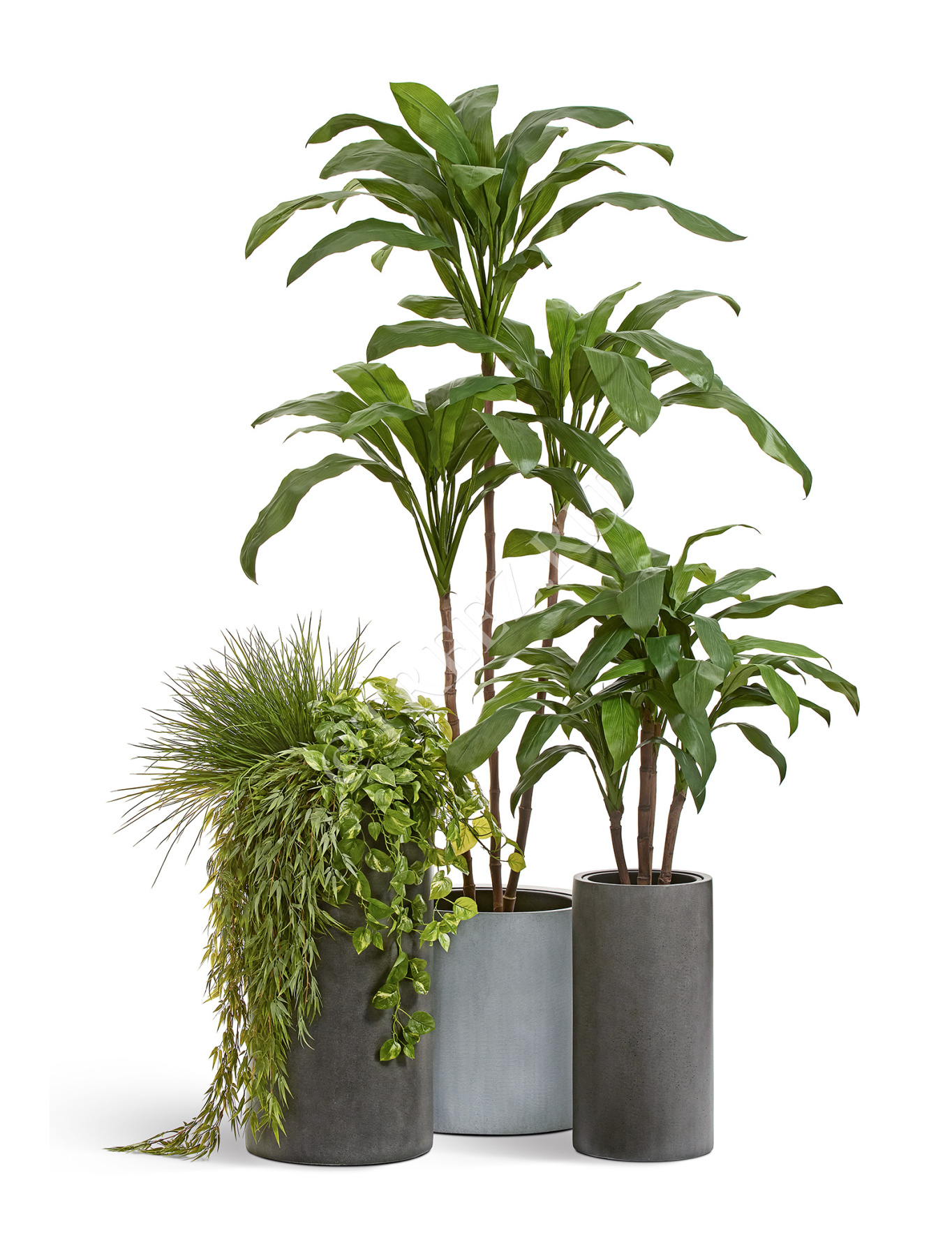 Дополнительные фото 5