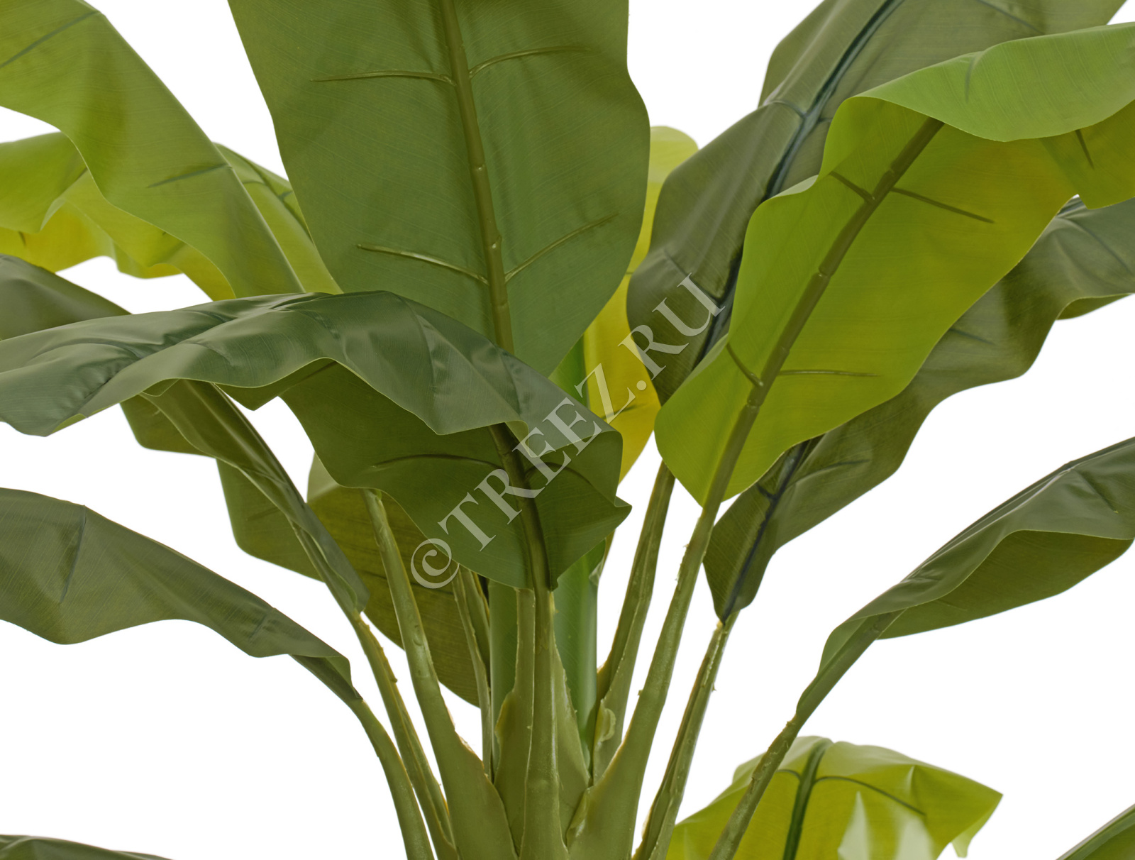 Дополнительные фото 3