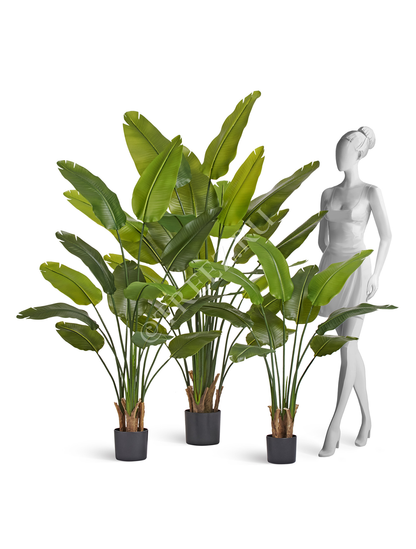 Дополнительные фото 5