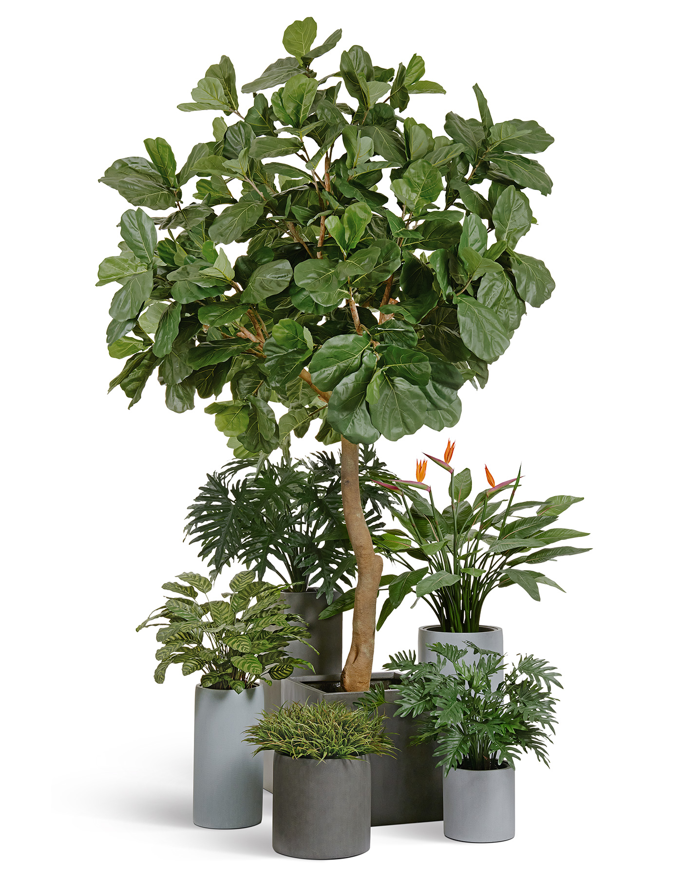 Дополнительные фото 5