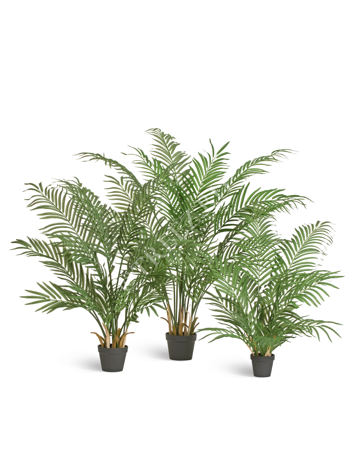 Дополнительные фото 1