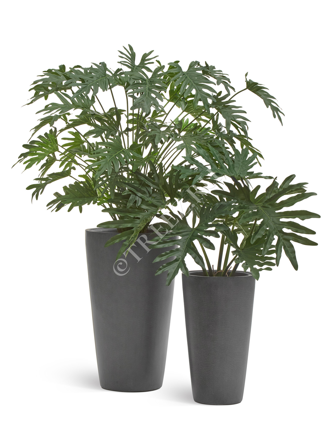 Дополнительные фото 1