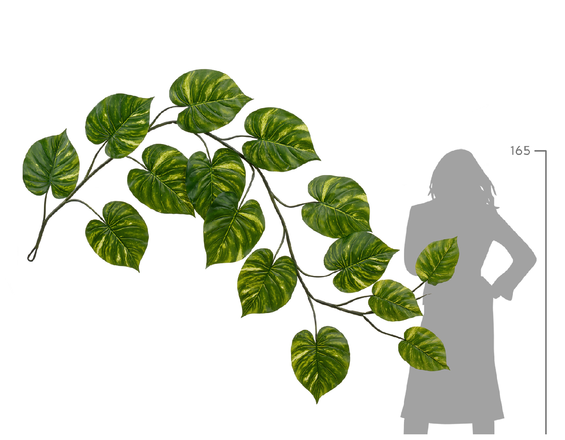 Дополнительные фото 3