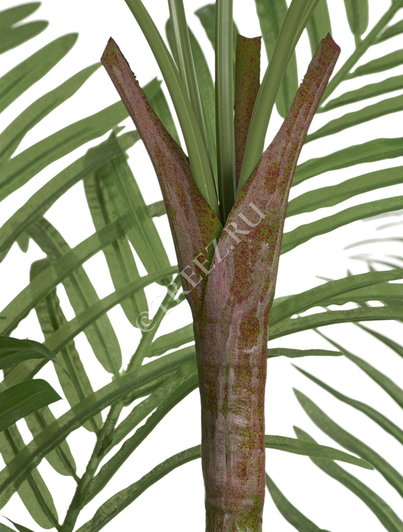 Дополнительные фото 2