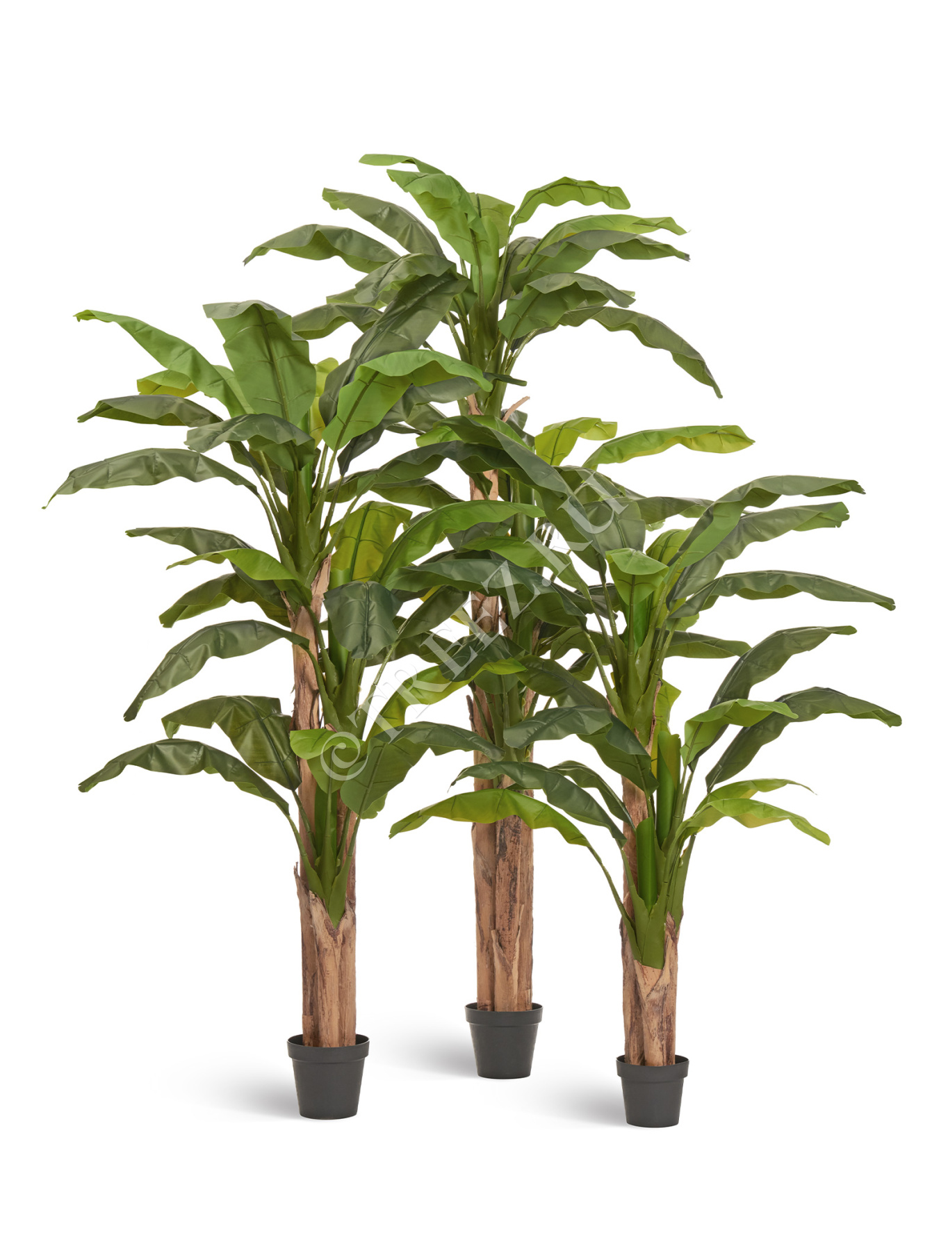 Дополнительные фото 5