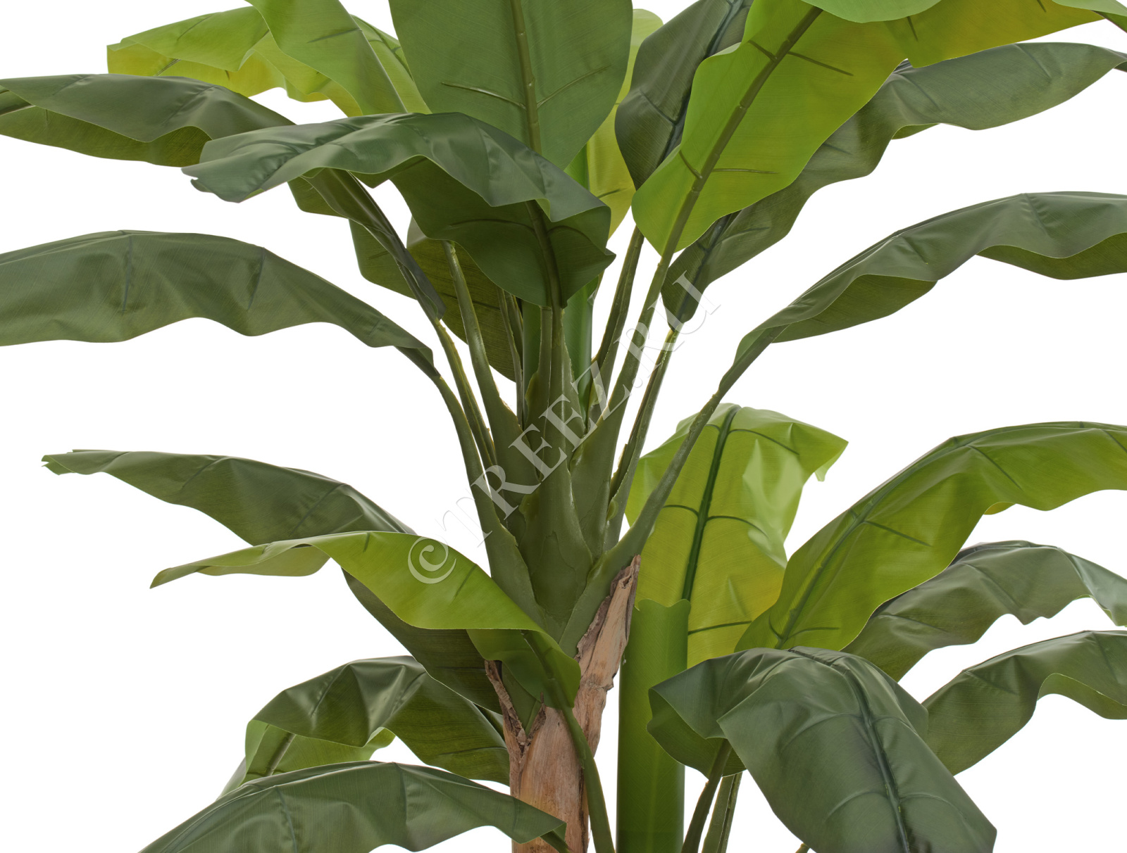 Дополнительные фото 2