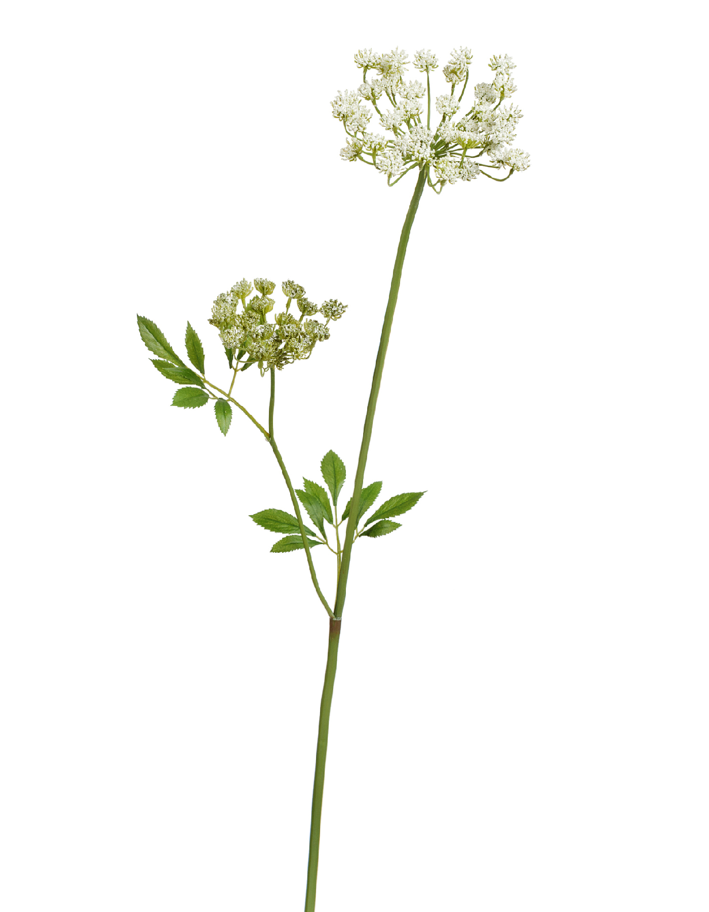 Анна Королевская Мидл Кружевная бело-зелёная в-70 см, 2 зонтика (5 и 10 см) 12/48