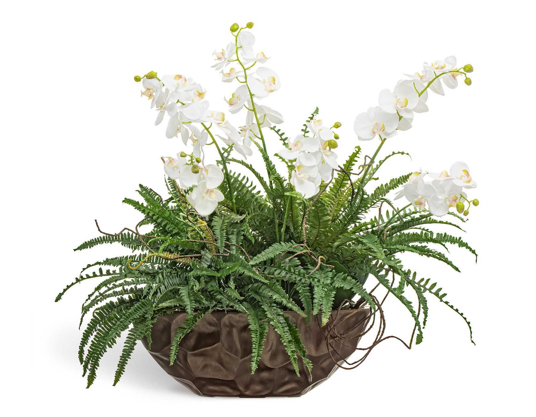 Композиция "Forest nymphs" (Фаленопсисы с папоротником) в кашпо-лодке в-80, дл-90, ш-70 см (ELE) 1/1