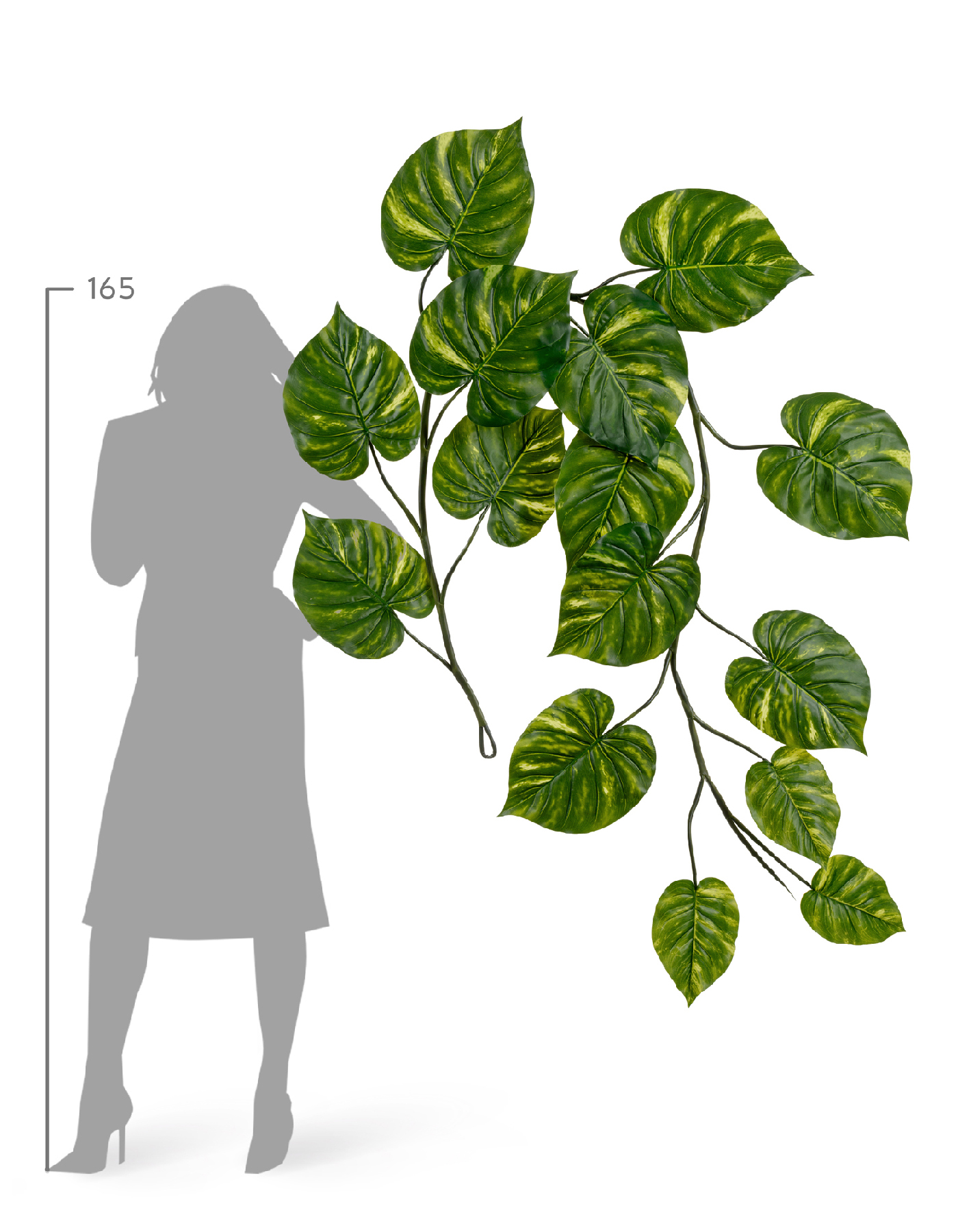 Дополнительные фото 1