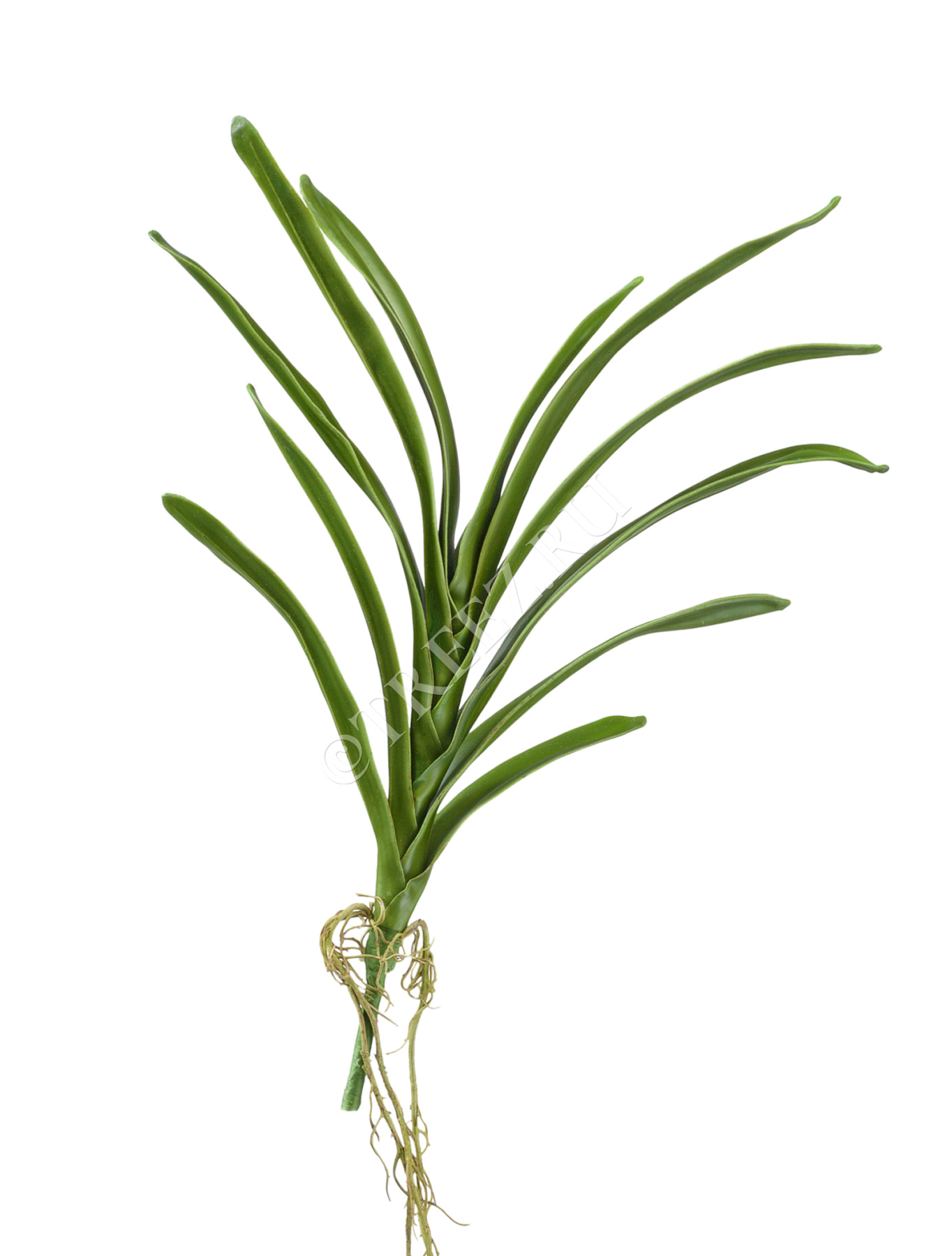 Дополнительные фото 1