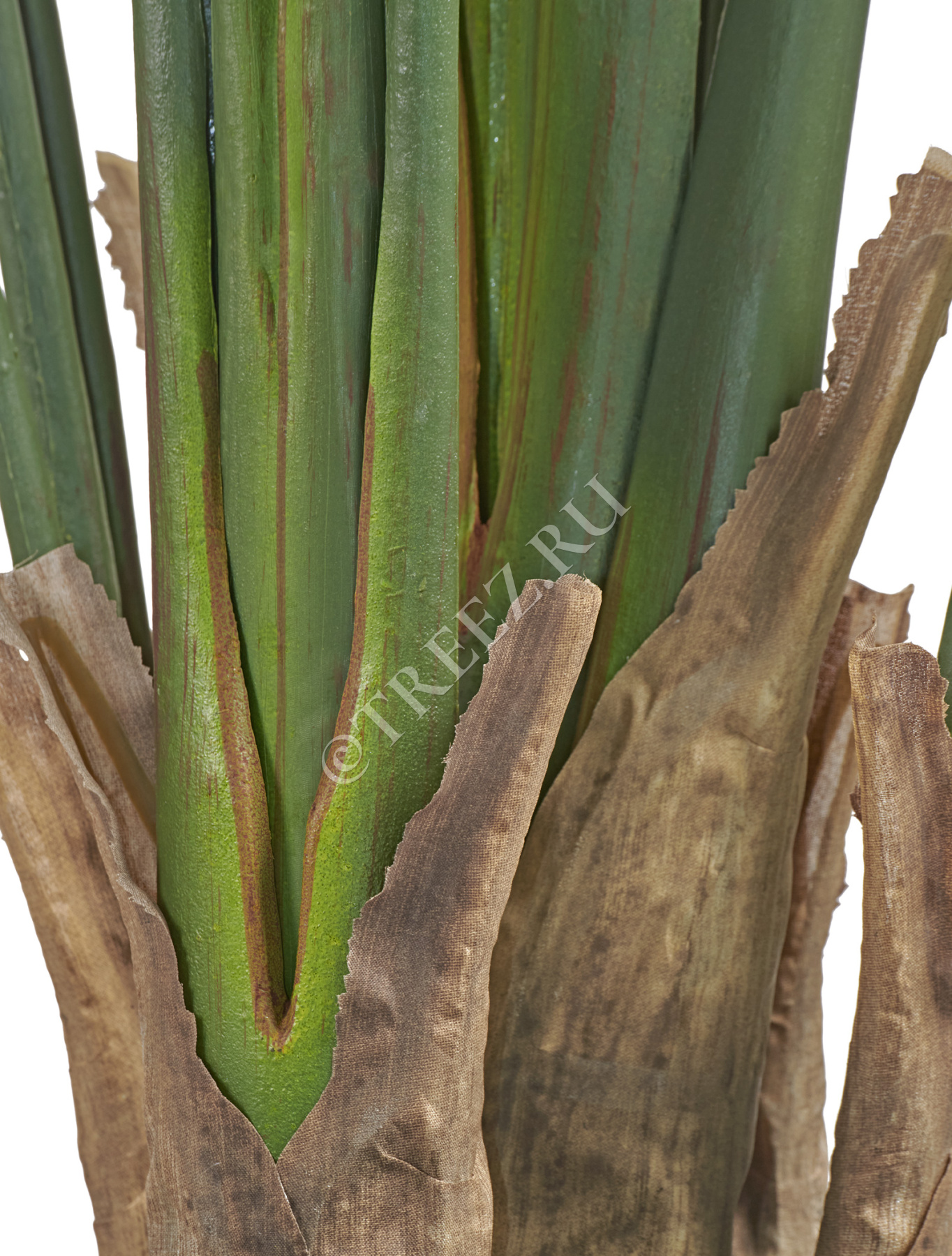 Дополнительные фото 1