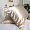 Pillow Case 100% Silk Classic Pearl 3698657