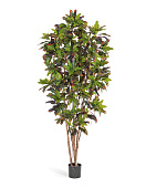 Товар Кротон 120 см 2/2 добавлен в корзину