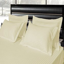 Pillow Case Premium Woven Cotton Sateen Stripe Cream 5/4