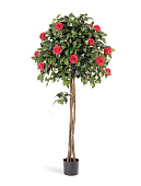 Товар Камелия на штамбе тёмно-розовая в-130 см 2/2 добавлен в корзину