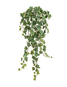 Товар Английский плющ Олд Тэмпл припылённо-зелёный в-90 см (191 лист) (Sensitive Botanic) 6/36 добавлен в корзину